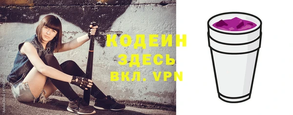 шишки Костерёво