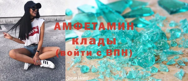 шишки Костерёво