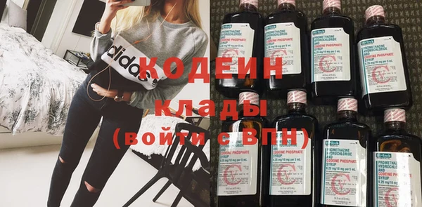 шишки Костерёво