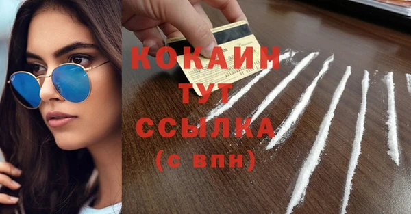 шишки Костерёво
