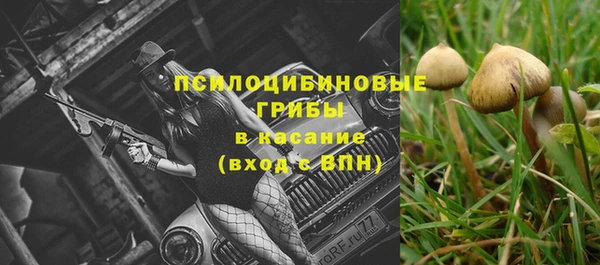 экстази Коряжма