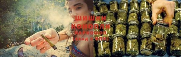 шишки Костерёво