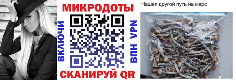 Купить закладки  Вытегра  Галлюциногенные грибы мухоморы 